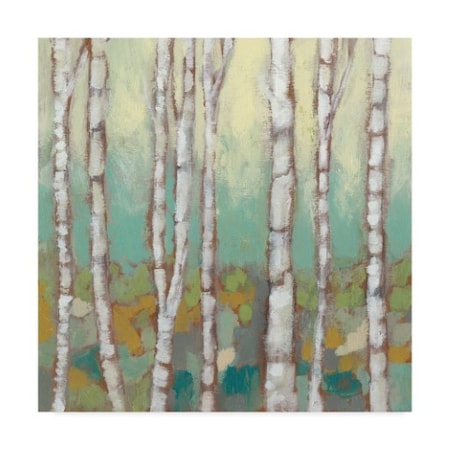 Jennifer Goldberger 'Kaleidoscope Birches I' Canvas Art,18x18